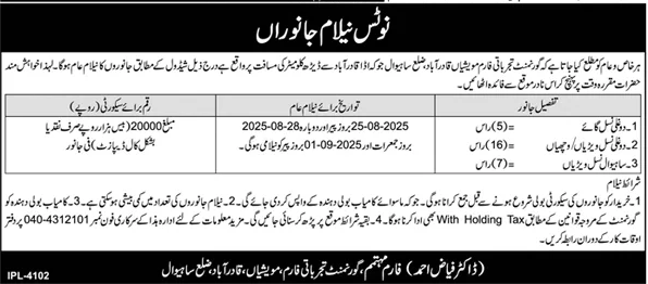 Government Department Sahiwal Tender Notice